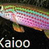 Kaioo