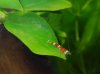 Nahaufnahme.JPG