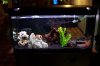 200 L Becken.JPG