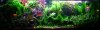 IMG_375bestes Digi0001_1_1.JPG