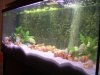 AquaTOTAL1.jpg