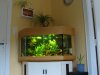Aquarium 003.jpg