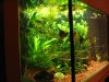 Aquarium 004.jpg