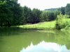 Teich.jpg
