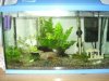 Aquarium.jpg