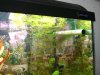 DSC03980.JPG