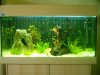 Aquarium.JPG