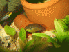 IMG_1717.gif