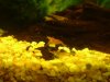DSCF5638.jpg
