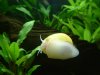 DSCF4581.jpg