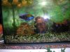 DSCN0714.jpg