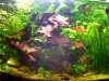 becken0207.JPG