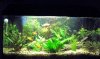 aquarium_k.JPG