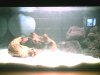 070223_192035.jpg