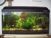 aquarium_aktuell.JPG