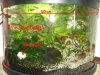 aquarium.jpg