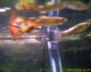 IMAGE_00008.jpg