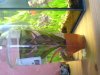 DSC00248.JPG