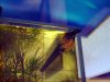 DSC01595.JPG