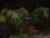 DSC00734.JPG