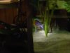 DSC00742.JPG
