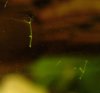 DSC01754.jpg