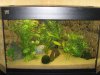 aquarium-übersicht.jpg