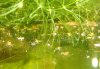 DSC04732.1JPG.jpg