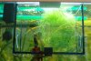 DSC04734.1JPG.jpg