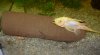 DSCN1495.JPG