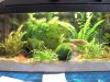 Aquarium Vollansicht.jpg