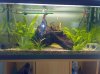 Aquarium.jpg
