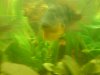 DSC00226.jpg