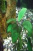 CIMG0899.JPG