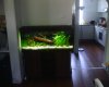 IMAGE_00559.jpg
