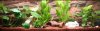 Aquaclaymit400pixelJPG.jpg