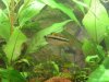 PICT0028.JPG