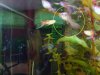 DSC02012-01.jpg