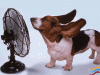 28281654.gif