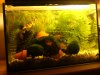 DSC00138.JPG