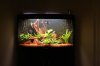 Aquarium.jpg