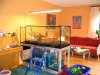 576neu 001tiny.jpg