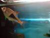 DSC00655.JPG