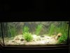 Aquarium008.jpg