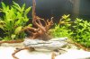 Aquarium03.jpg
