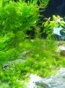 Aquaium02.jpg