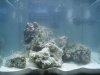Aquarium 017.jpg