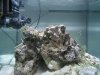 Aquarium 019.jpg