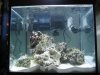 Aquarium 018.jpg