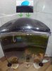DSC00813.jpg
